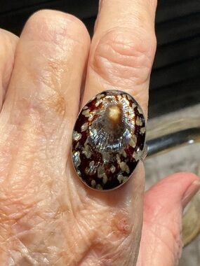 Vintage Handcrafted Brown Limpet Shell Ring 8